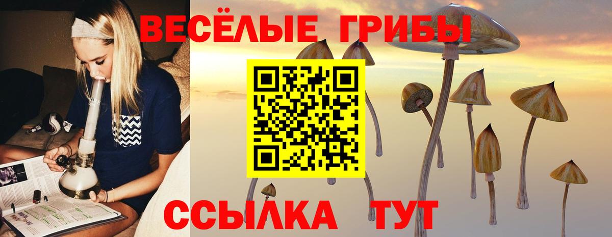 Нижнеудинск  Псилоцибиновые грибы ЛСД  Вход с VPN 